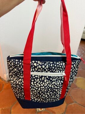 Arctic Zone Insulated Tote Bag